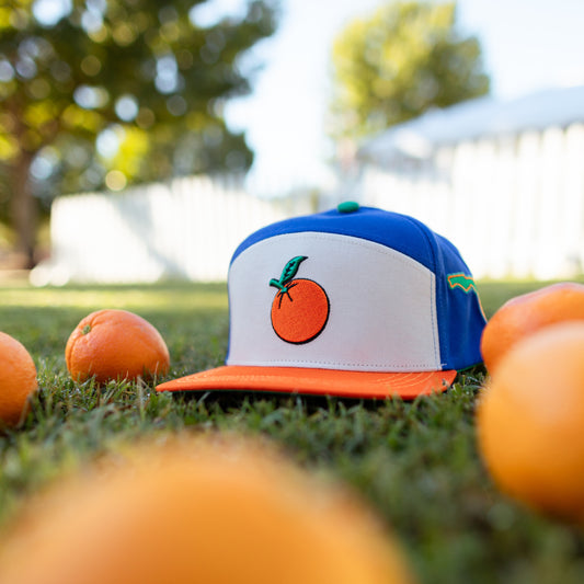 Florida Orange Sunshine State Snapback Hat