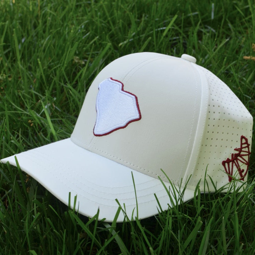 Curved White South Carolina State Snapback Hat