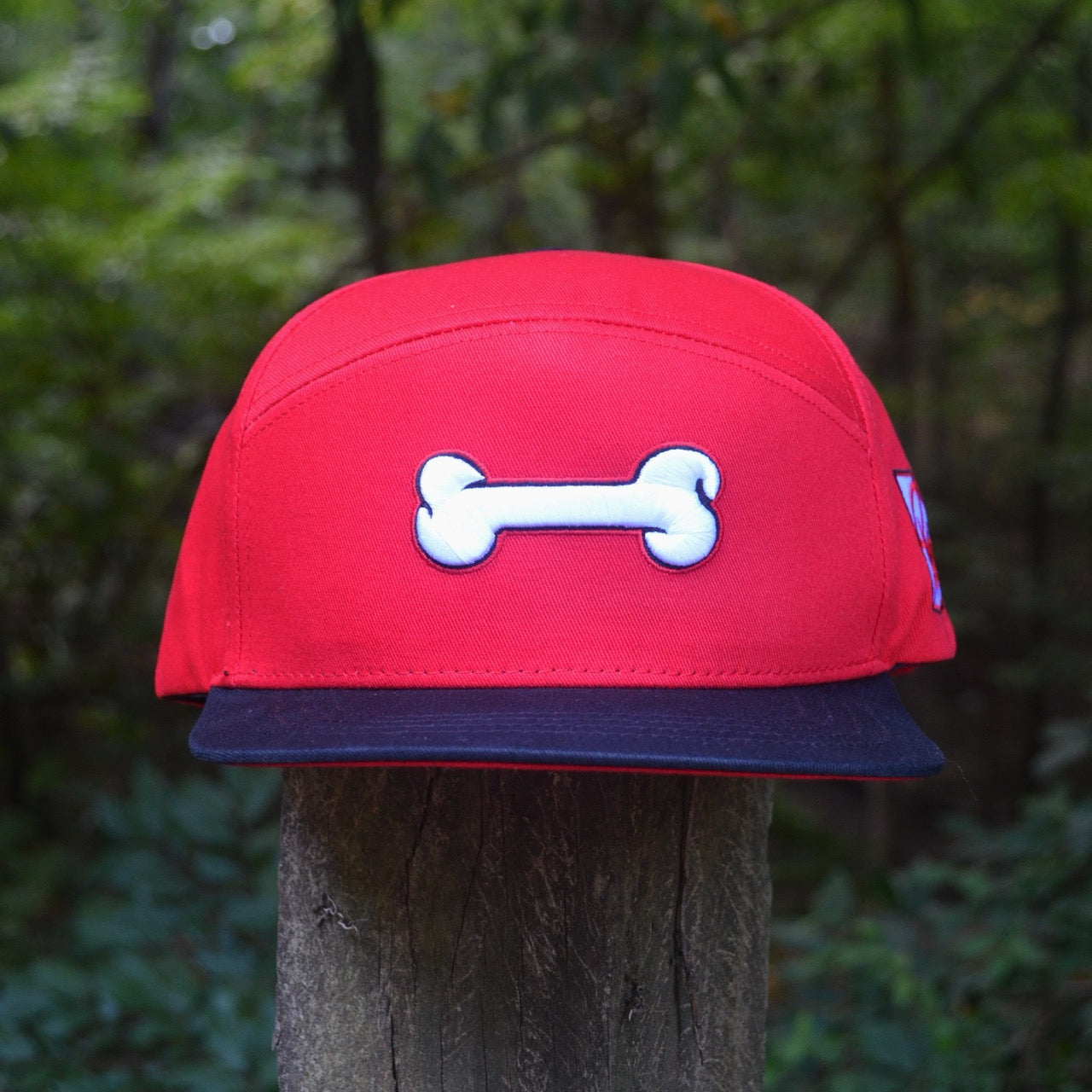 Red Georgia Dog Bone Snapback Hat