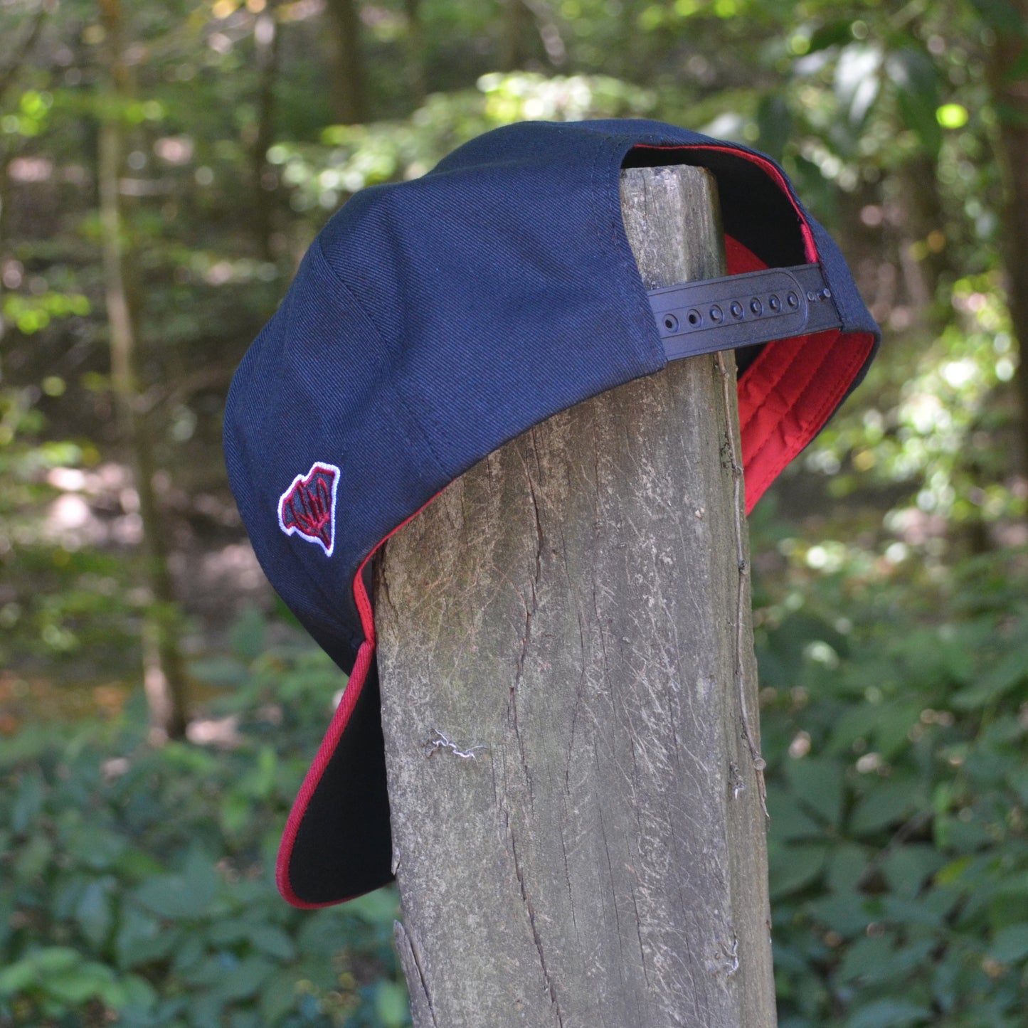 Black + Garnet Classic South Carolina Palmetto Snapback