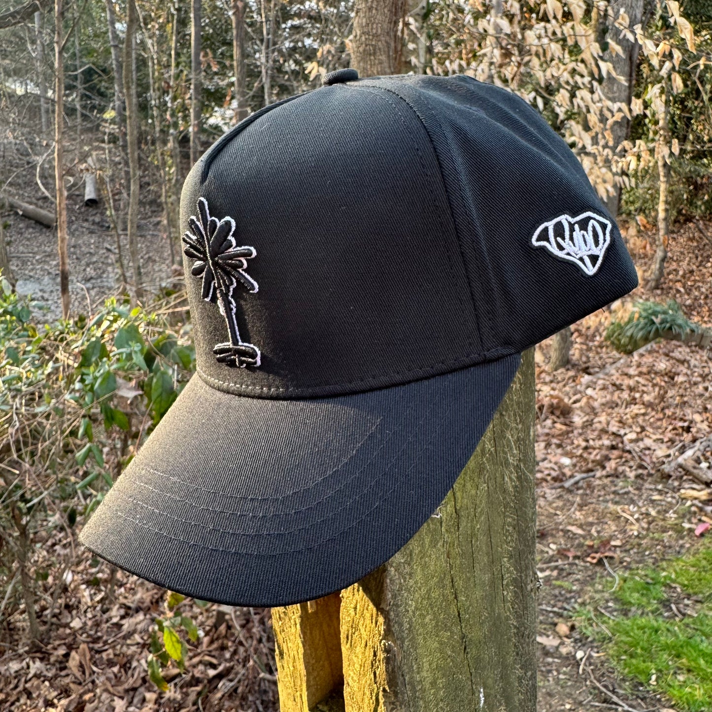 Curved Black South Carolina Palmetto Tree Snapback Hat