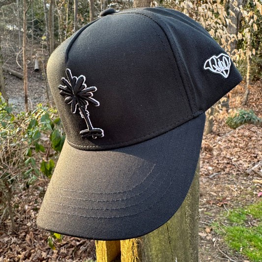 Curved Black South Carolina Palmetto Tree Snapback Hat