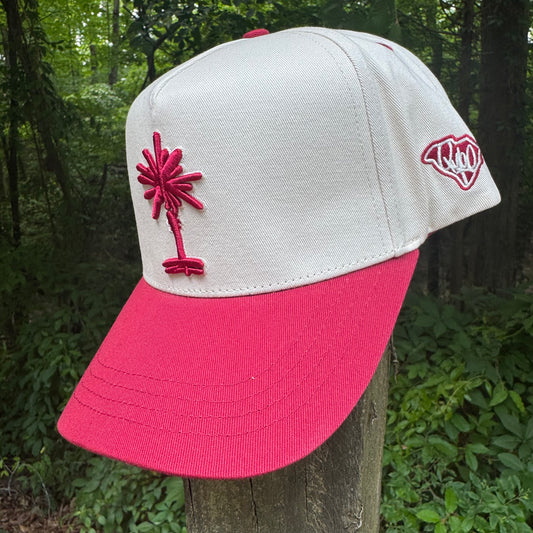 Curved Garnet South Carolina Cotton Snapback Hat