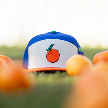Florida Orange Sunshine State Snapback Hat
