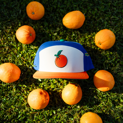 Florida Orange Sunshine State Snapback Hat