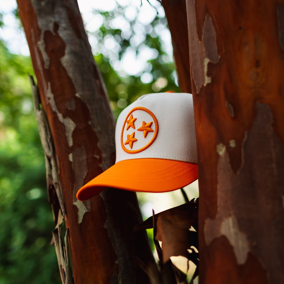 Curved Tennessee Tri-Star Embroidered Snapback