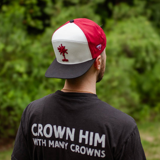 Tri-Color Block South Carolina Palmetto Snapback