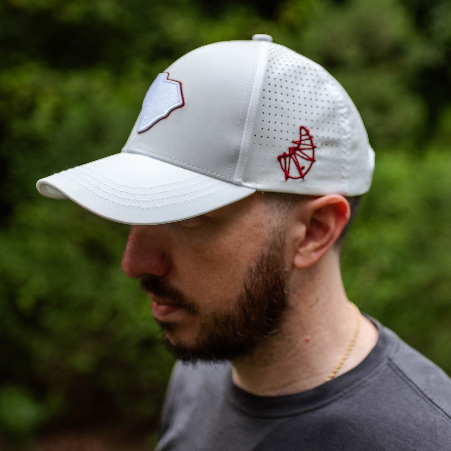 Curved White South Carolina State Snapback Hat