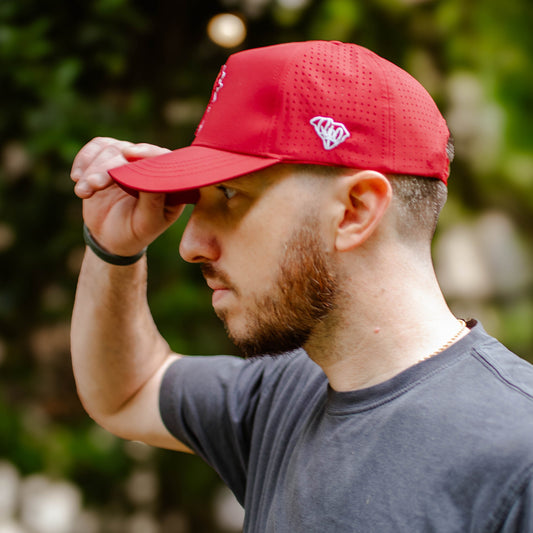 Curved Garnet South Carolina Palmetto Tree Embroidered Snapback