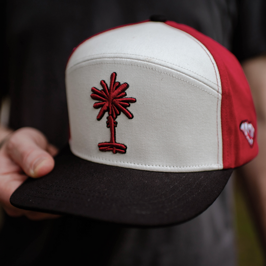 Tri-Color Block South Carolina Palmetto Snapback