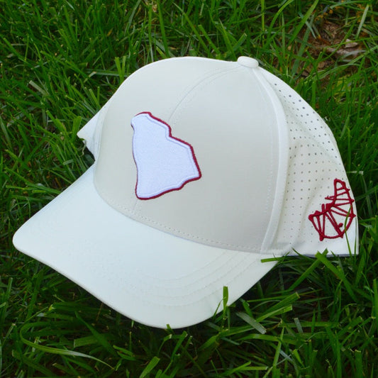 White Curved South Carolina State Embroidered Snapback