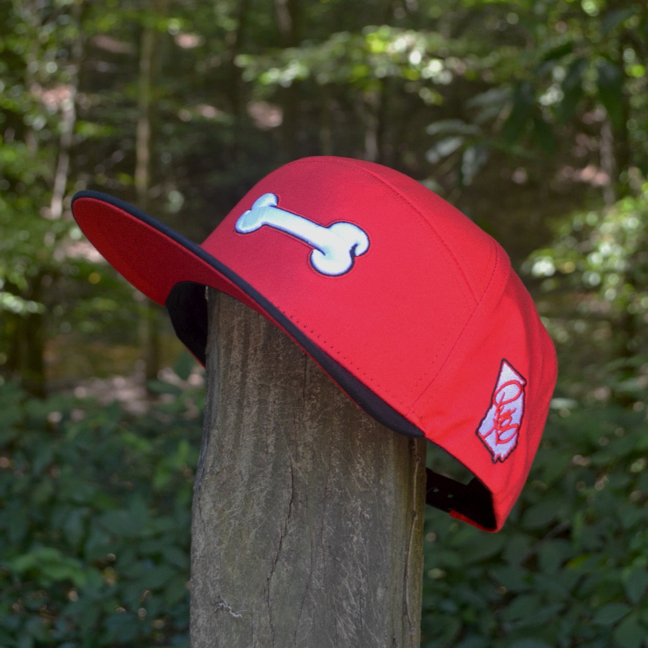 Red Georgia Dog Bone Snapback Hat