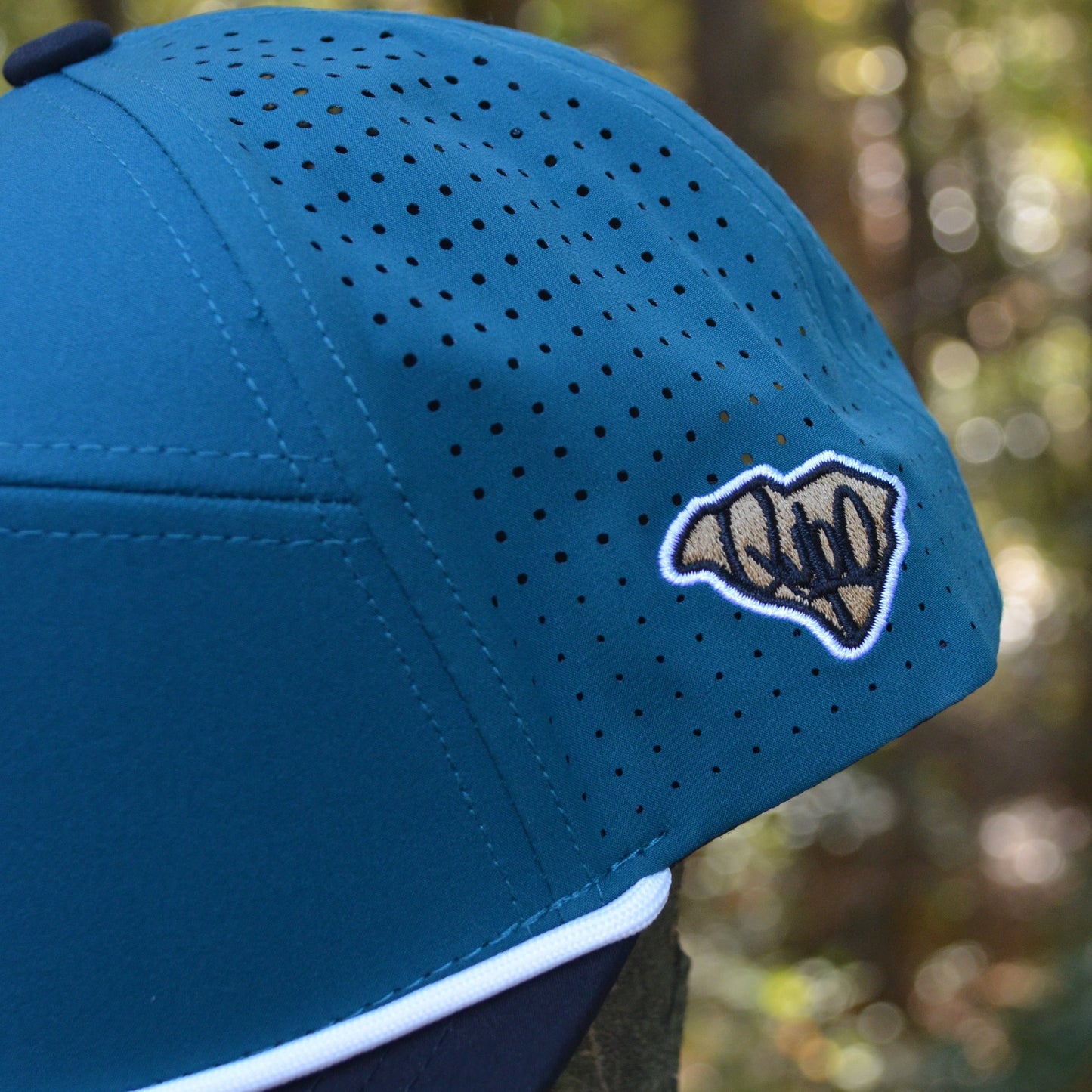 Teal SC Shore Palmetto Snapback