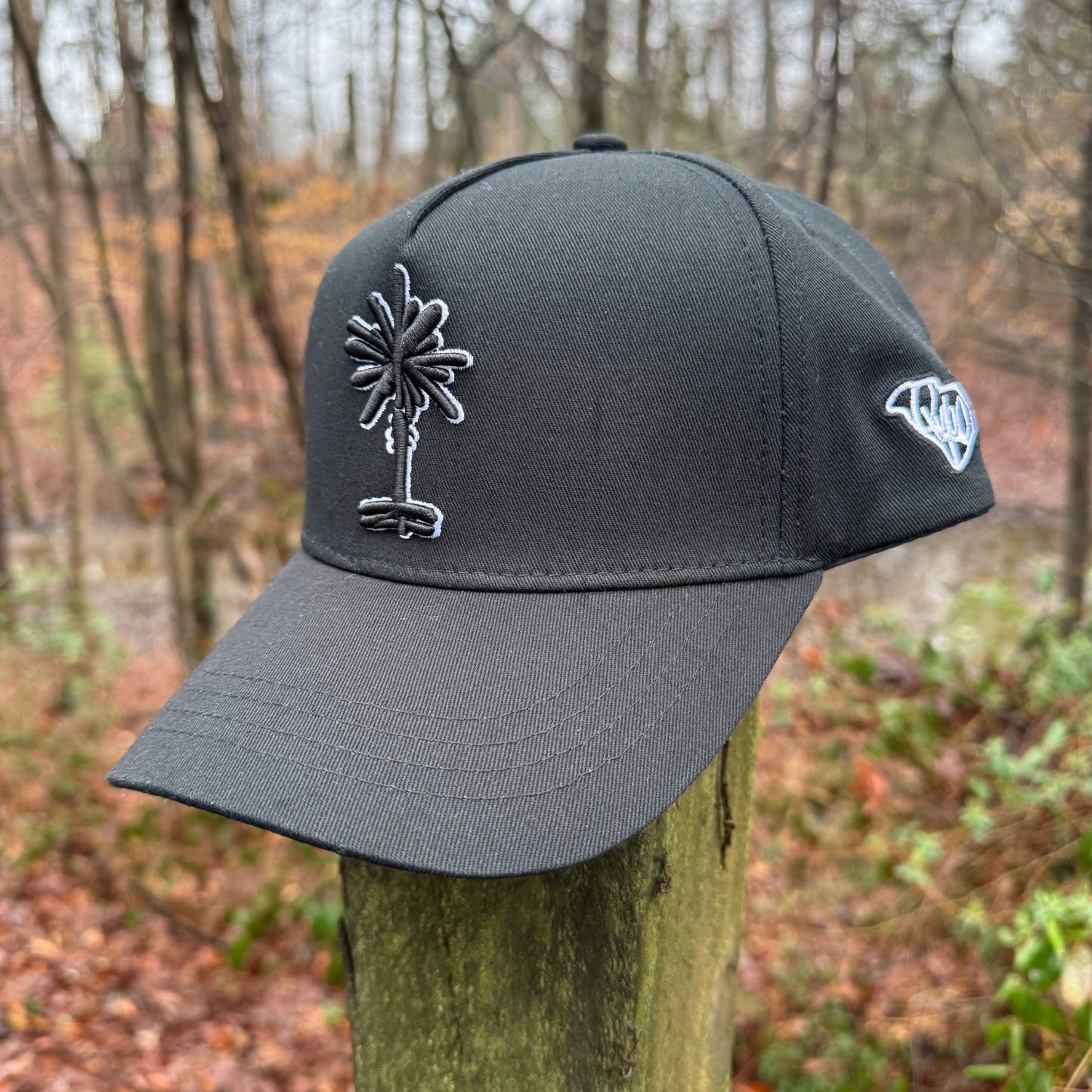 Curved Black South Carolina Palmetto Tree Snapback Hat