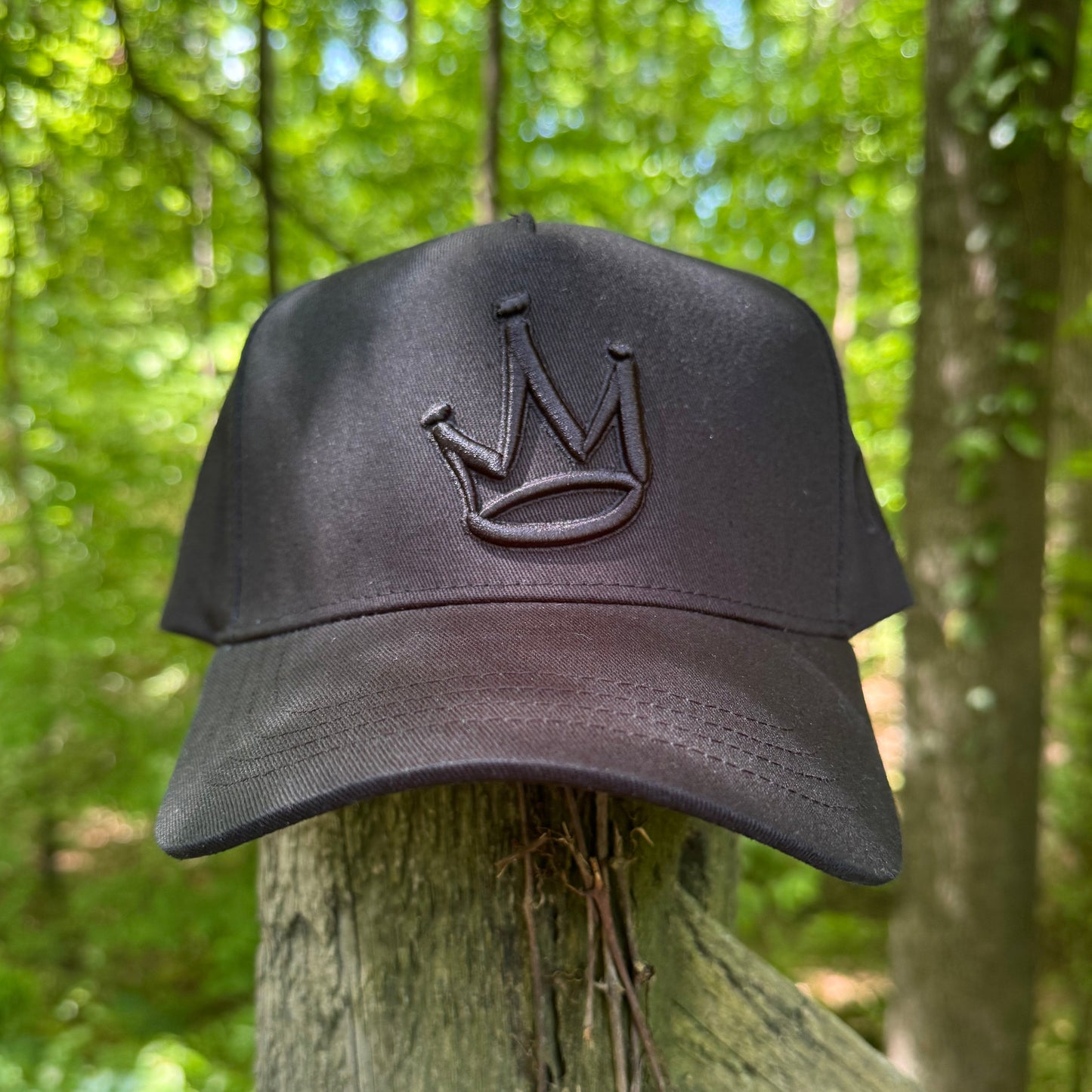 Curved Black King of Kings Snapback Hat