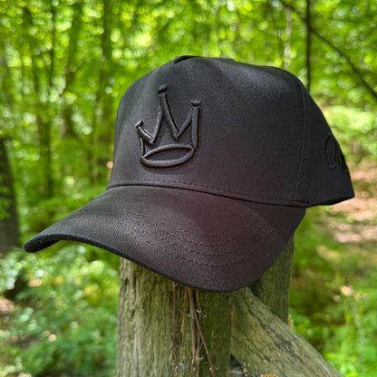Curved Black King of Kings Snapback Hat
