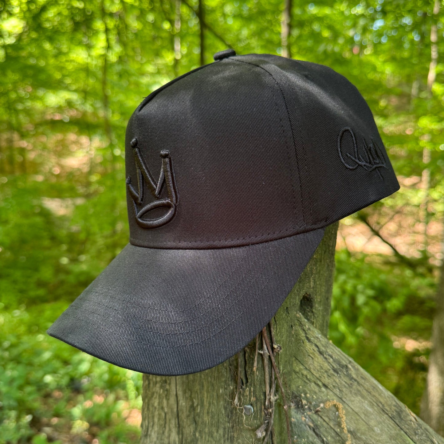 Curved Black King of Kings Snapback Hat