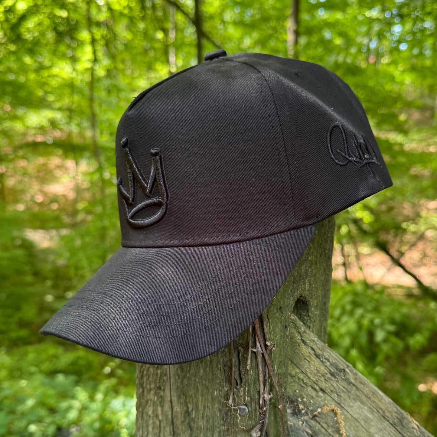 Curved Black King of Kings Snapback Hat