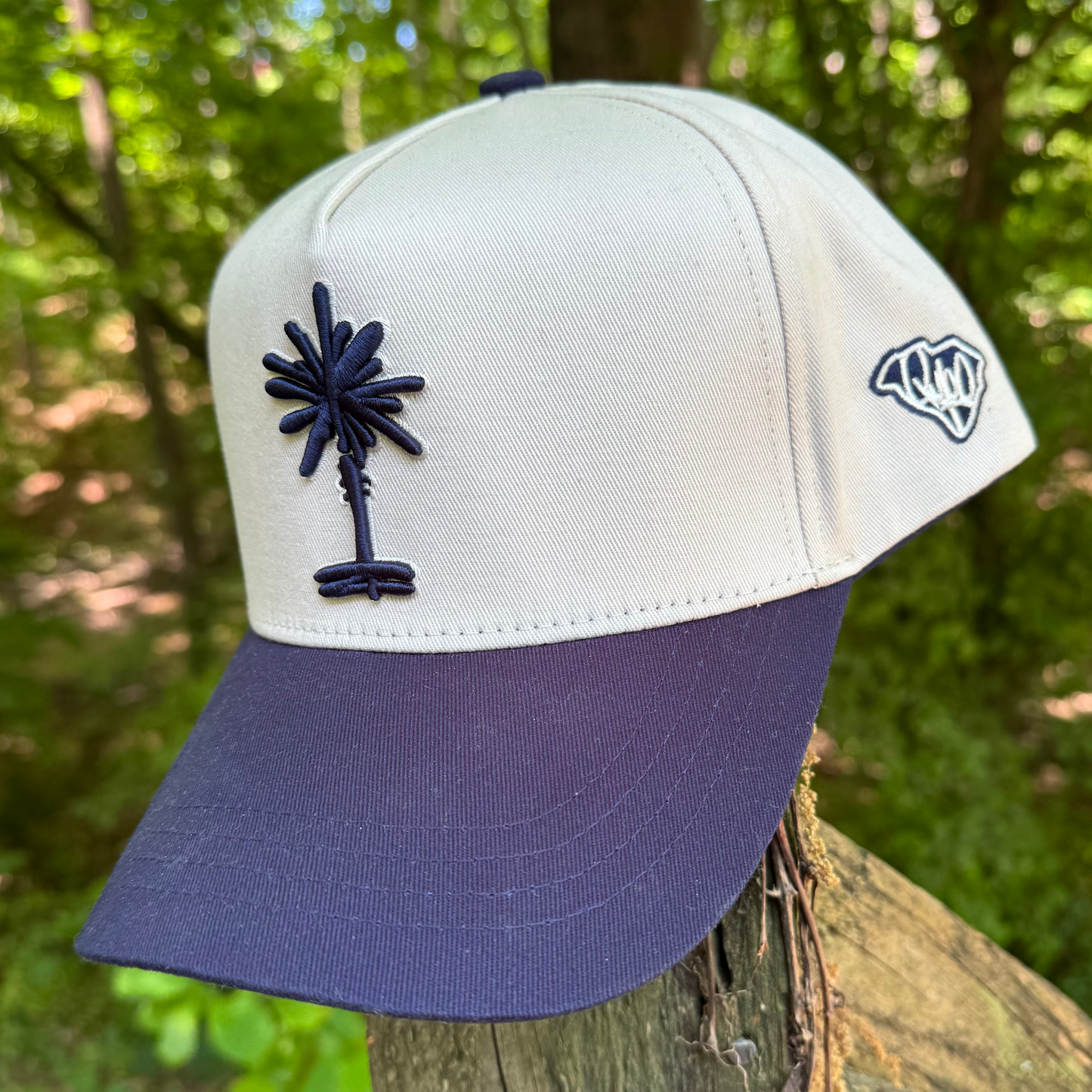 Curved Two-Tone Navy South Carolina Cotton Snapback Hat