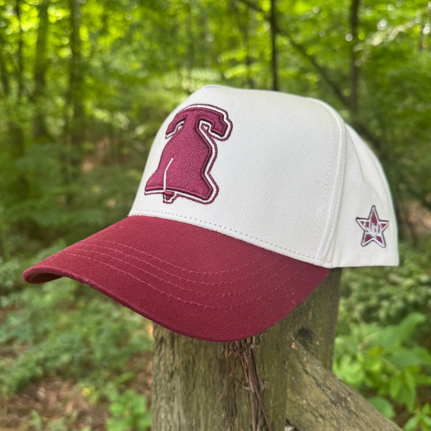 Curved Philly Vintage Red Cotton Snapback Hat