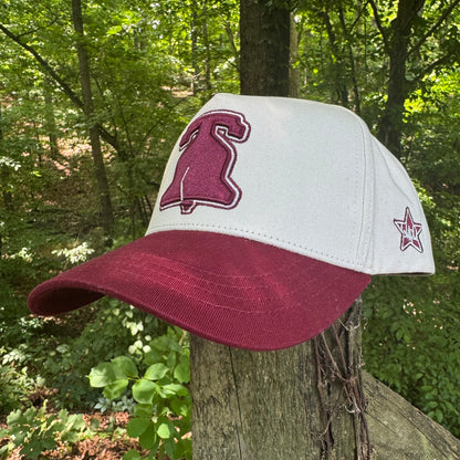 Curved Philly Vintage Red Cotton Snapback Hat