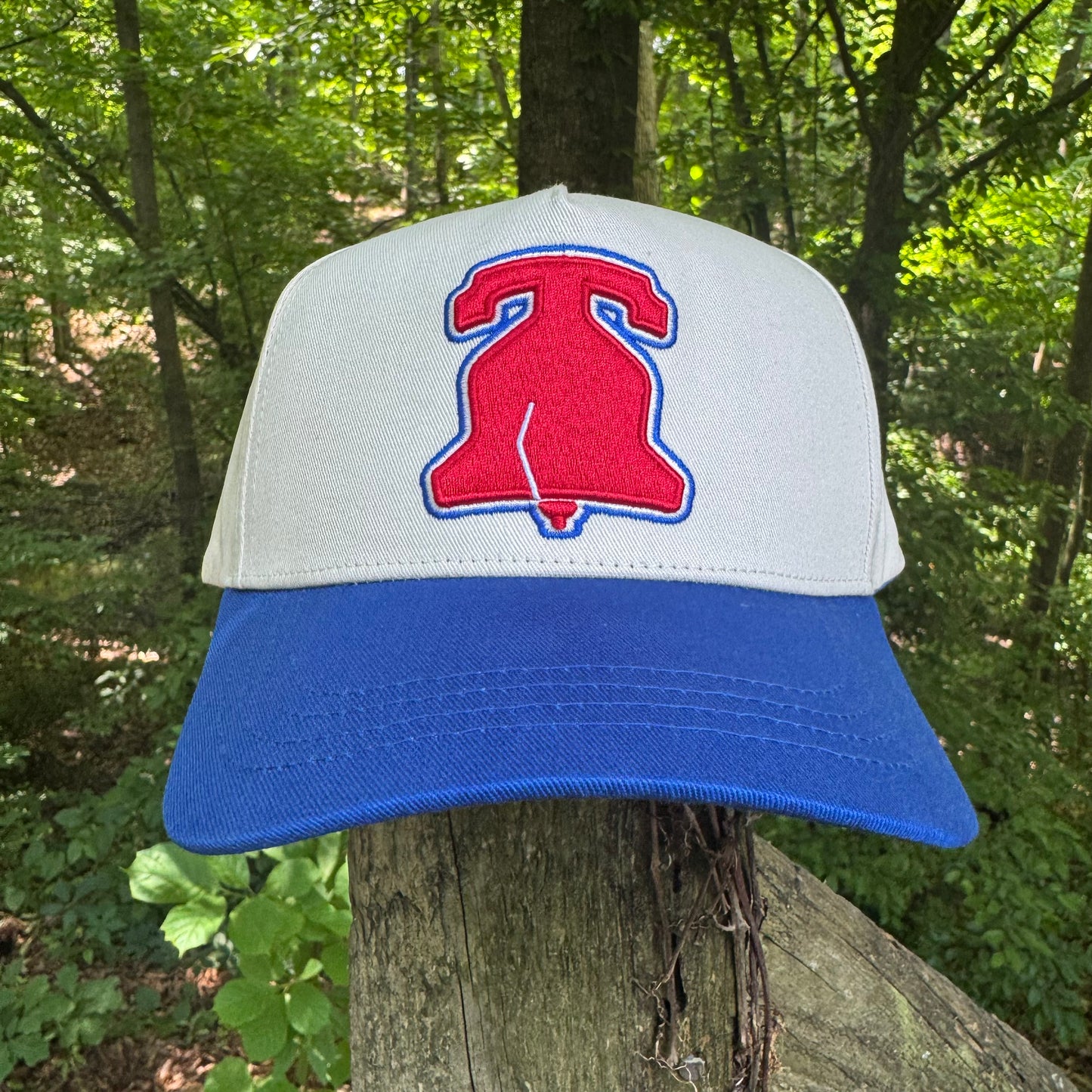 Curved Philly Modern Blue Cotton Snapback Hat