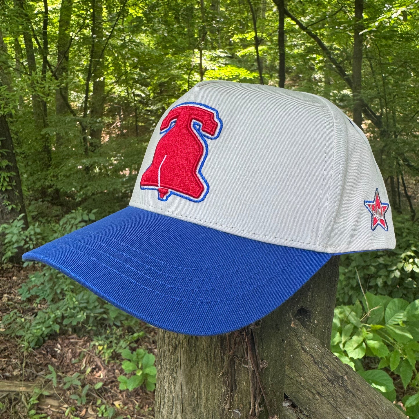 Curved Philly Modern Blue Cotton Snapback Hat