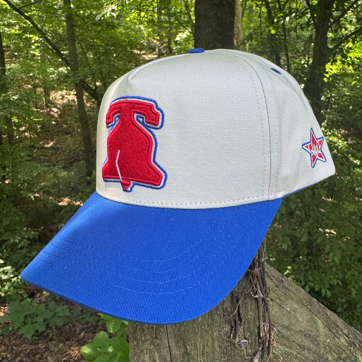 Curved Philly Modern Blue Cotton Snapback Hat