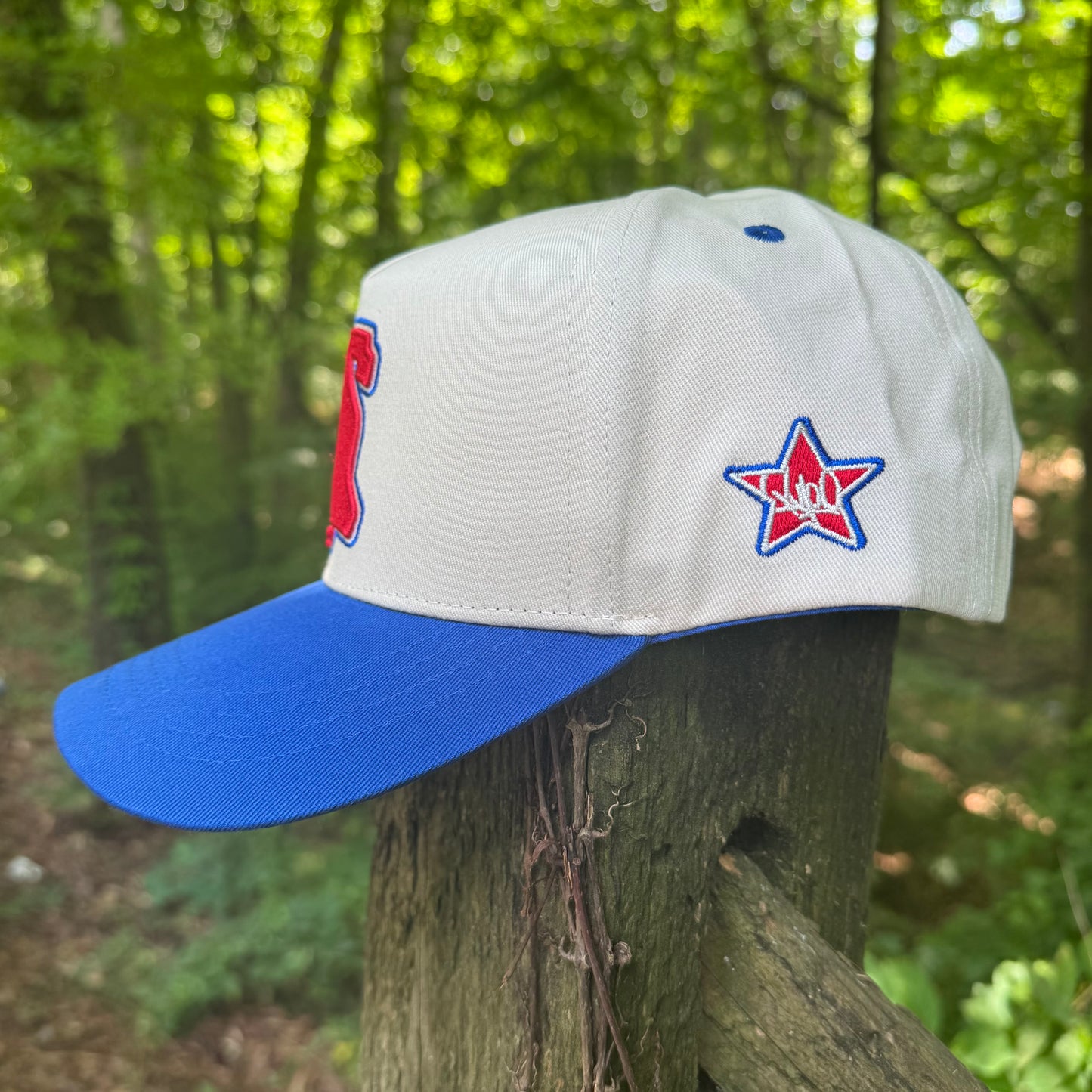 Curved Philly Modern Blue Cotton Snapback Hat