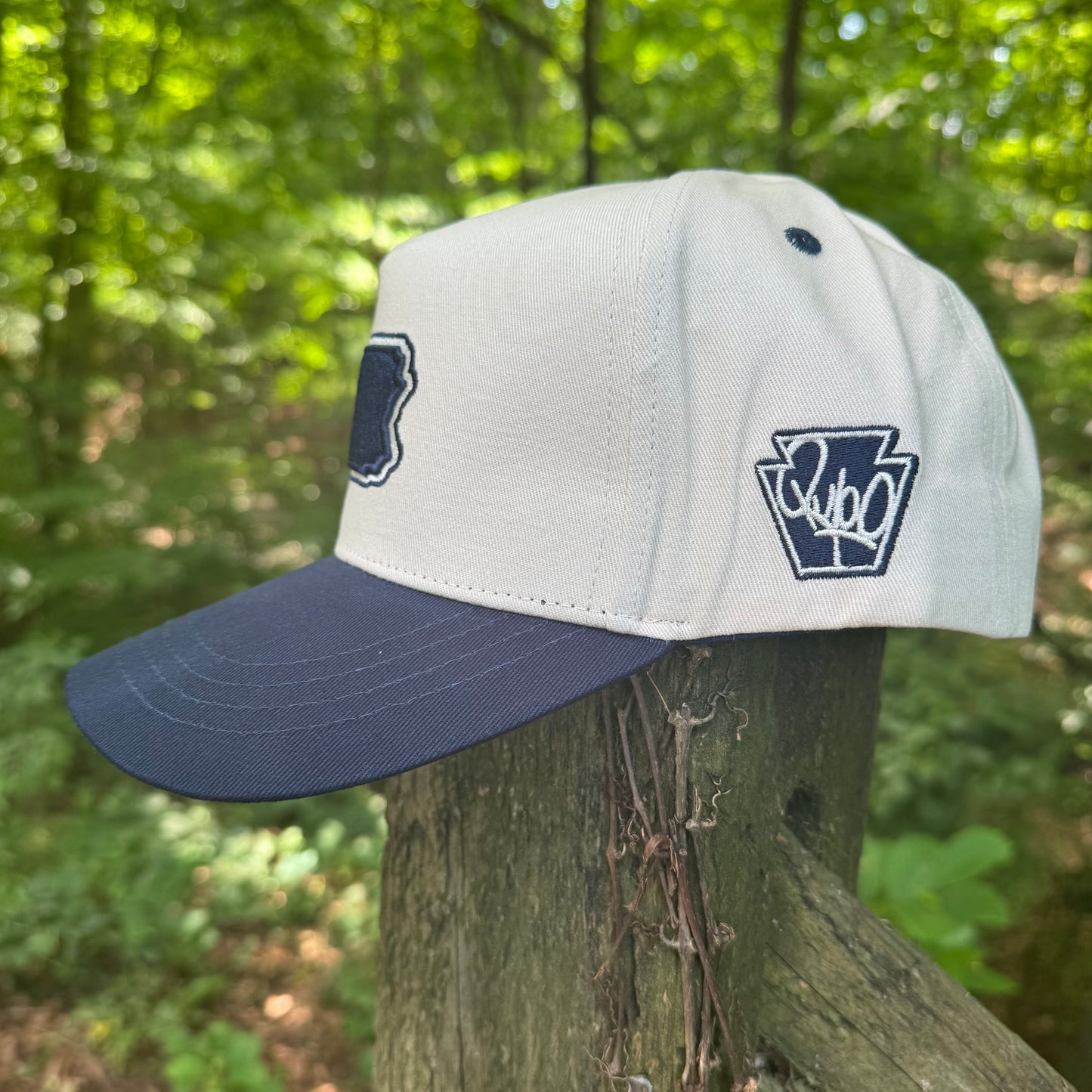 Curved State of Pennsylvania Blue Cotton Snapback Hat