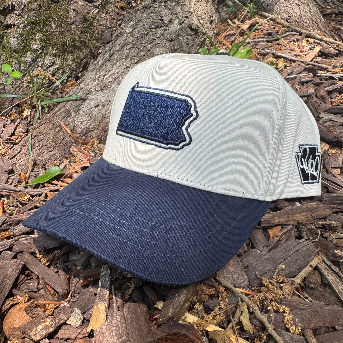 Curved State of Pennsylvania Blue Cotton Snapback Hat