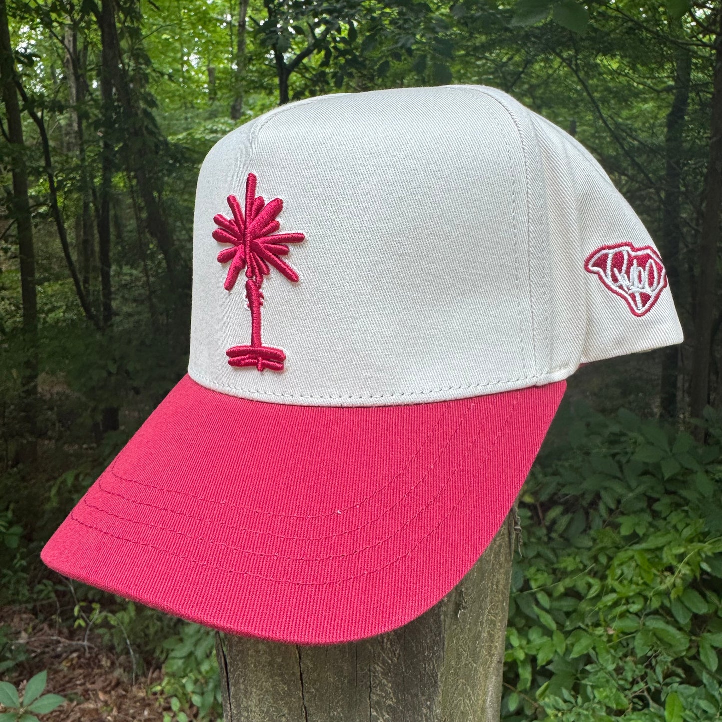 Curved Garnet South Carolina Cotton Snapback Hat
