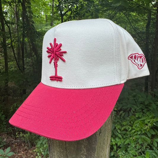 Curved Garnet South Carolina Cotton Snapback Hat