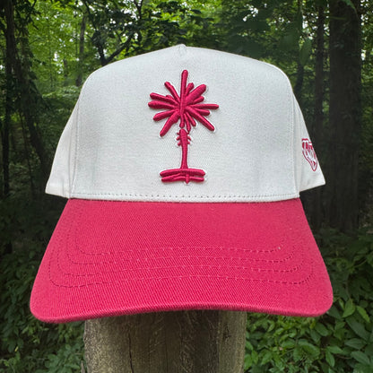 Curved Garnet South Carolina Cotton Snapback Hat