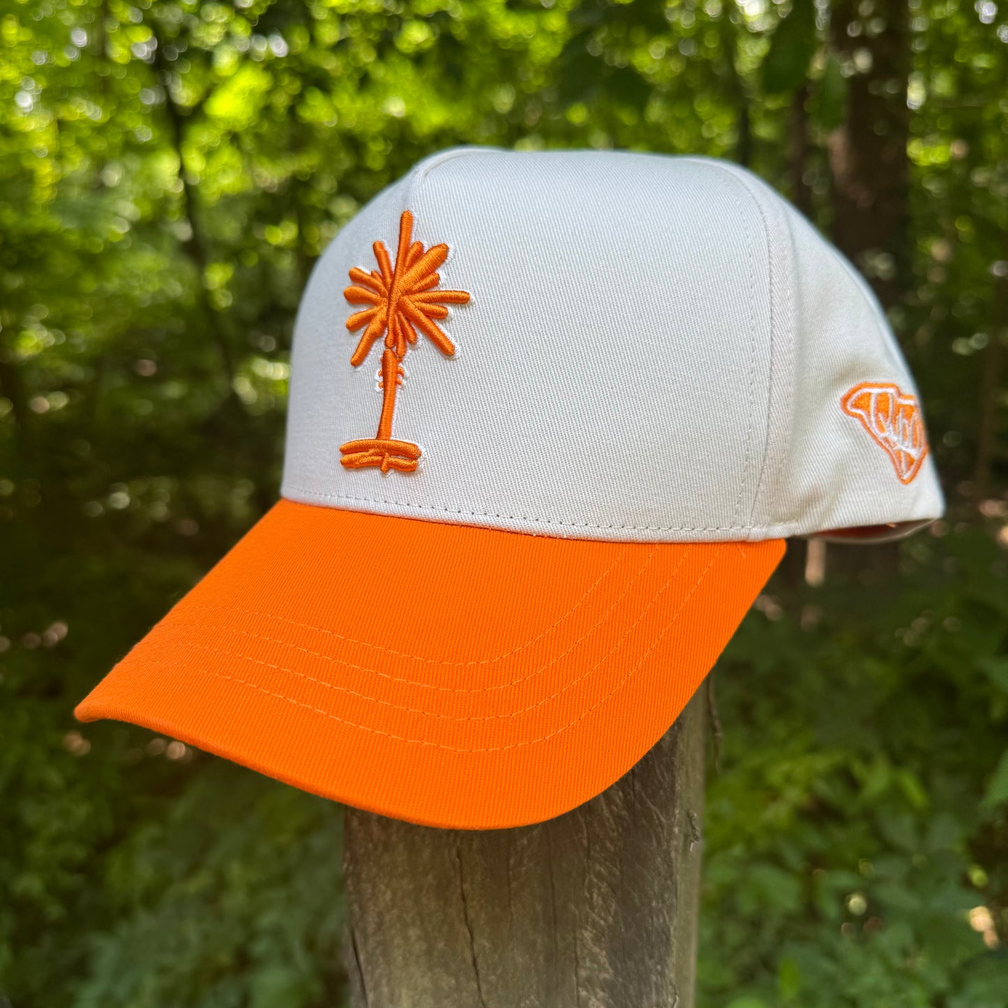 Curved Orange South Carolina Cotton Snapback Hat